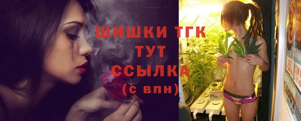 спиды Заводоуковск