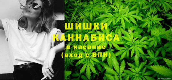 спиды Заводоуковск