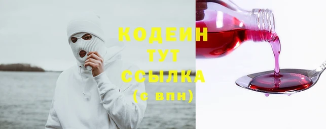 спиды Заводоуковск