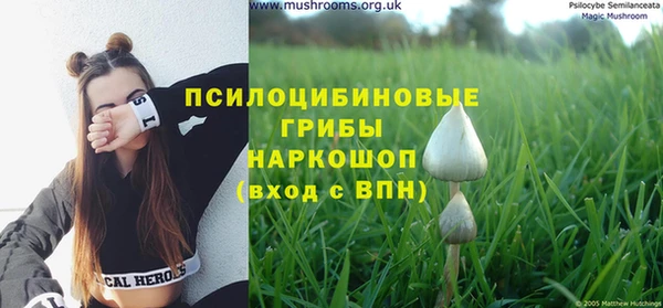 спиды Заводоуковск