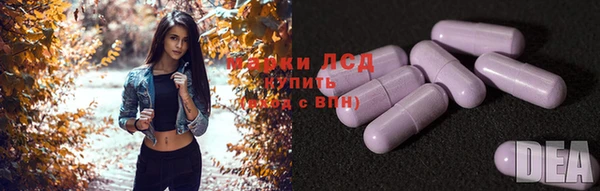 спиды Заводоуковск